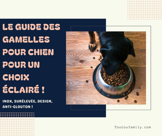 Gamelle chien - Guide complet des meilleures gamelles pour chien