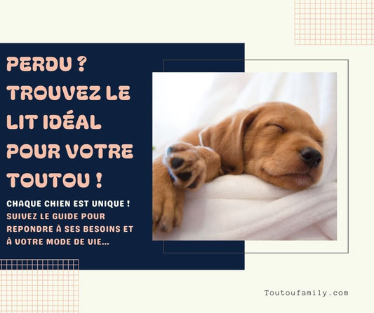 Lit pour chien - Guide complet pour choisir le meilleur couchage pour votre toutou - Toutoufamily