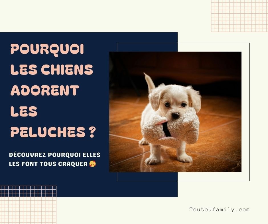Peluche pour chien - Les meilleures peluches pour chien ! - Toutoufamily