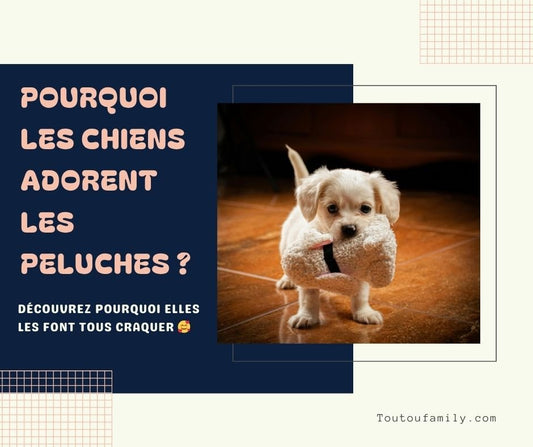 Peluche pour chien - Les meilleures peluches pour chien ! - Toutoufamily