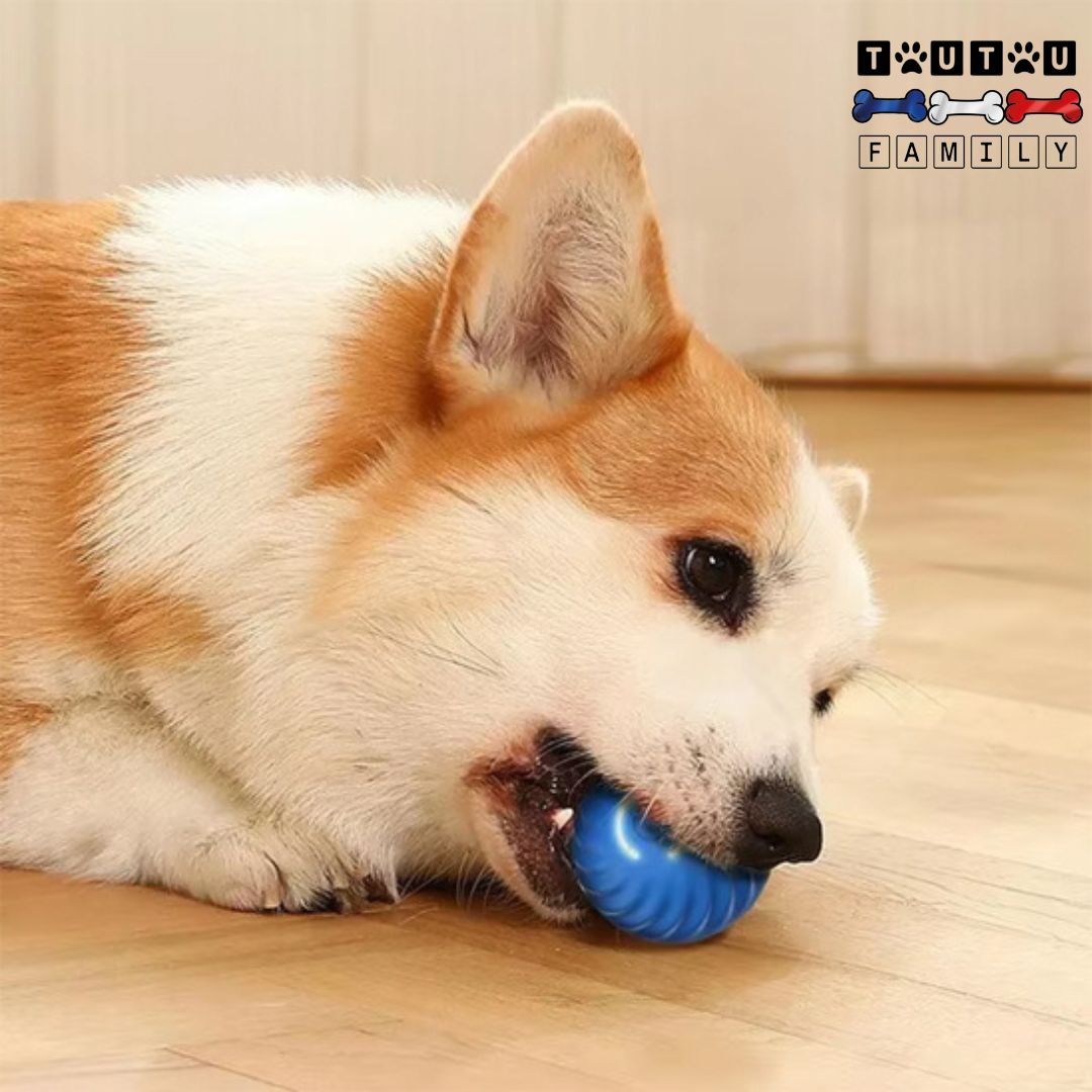 Balle-interactive-pour-chien-solide-résistante-un-chien-qui-mord-la-balle-lumineuse-et-vibrante-dans-sa-mùchoire-balle-pour-tous-les-chiens