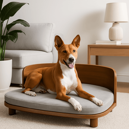 Canapé-chien-imperméable-structure en bois naturel robuste-sur pied antidérapant-coussin amovible déhoussable lavable en machine rembourrage 100% coton haute densité -épais et confortable-design vintage pour petit à chien de moyenne taille-écoresponsable-garanti 100% naturel et éco-friendly-un chien moyen couché confortablement sur son canapé lit surélevé en bois design vintage dans le salon de l'appartement