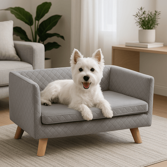 Canapé-chien-avec-coussin amovible épais et rembourré de mousse 100% coton haute densité déhoussable et lavable en machine-structure en bois avec pieds en bois de bouleau massif solide et robuste-anti affaissement-au design scandinave et moderne pour chien de petite taille jusqu'à 7 kg max-un petit chien couché confortablement sur son canapé gris surélevé sur pied dans le salon moderne de l'appartement