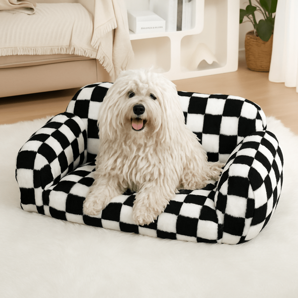 Canapé-pour-chien-déhoussable-coton-un puli assis dans le divan rembourré 100% coton haute densité lavable en machine et antidérapant dans le salon cosy de l'appartement