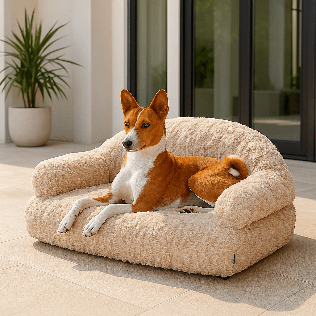 Canapé-pour-chien-douillet-déhoussable-antidérapant-lavable-en-machine-en fausse fourrure imitation lapin-ultra-doux-résistant-rembourrage 100% coton haute densité ergonomique pour chiot ou petit à chien de moyenne taille-avec accoudoir et haut dossier-couchage apaisant chaud et hypoallergénique, respectueux des peaux sensibles et de son pelage-un chien de taille moyenne couché confortablement sur son canapé taille M-moelleux sur la terrasse de l'appartement
