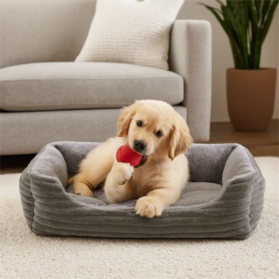 Coussin-chien-panier-rectangulaire-rembourrage 100% coton à mémoire de forme-velours-résistant, avec rebord surélevés, imperméable et antidérapant-lavable-un chiot couché confortablement dans son panier rectangulaire épais et chaud de couleur gris dans le salon de la maison