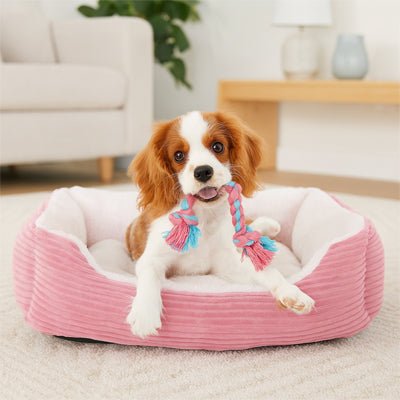 Coussin-chien-panier-rectangulaire-rose-rembourrage 100% coton à mémoire de forme-velours-résistant, avec rebord surélevés, imperméable et antidérapant-lavable-un petit chien qui tient son jouet dans sa mùchoire allongé confortablement dans son coussin avec rebord surélevé chaud et douillet sur le sol du salon de l'appartement