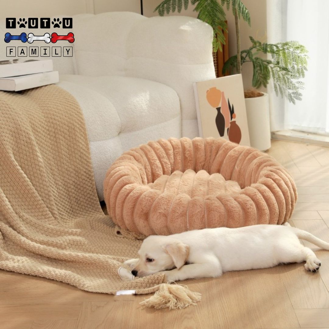 Coussin-déhoussable-pour-chien-chiot-rond-un-chiot-labrador-blanc-couché-avec-son-panier-rond-avec-rebord-surélevé-entourant-anti-stress