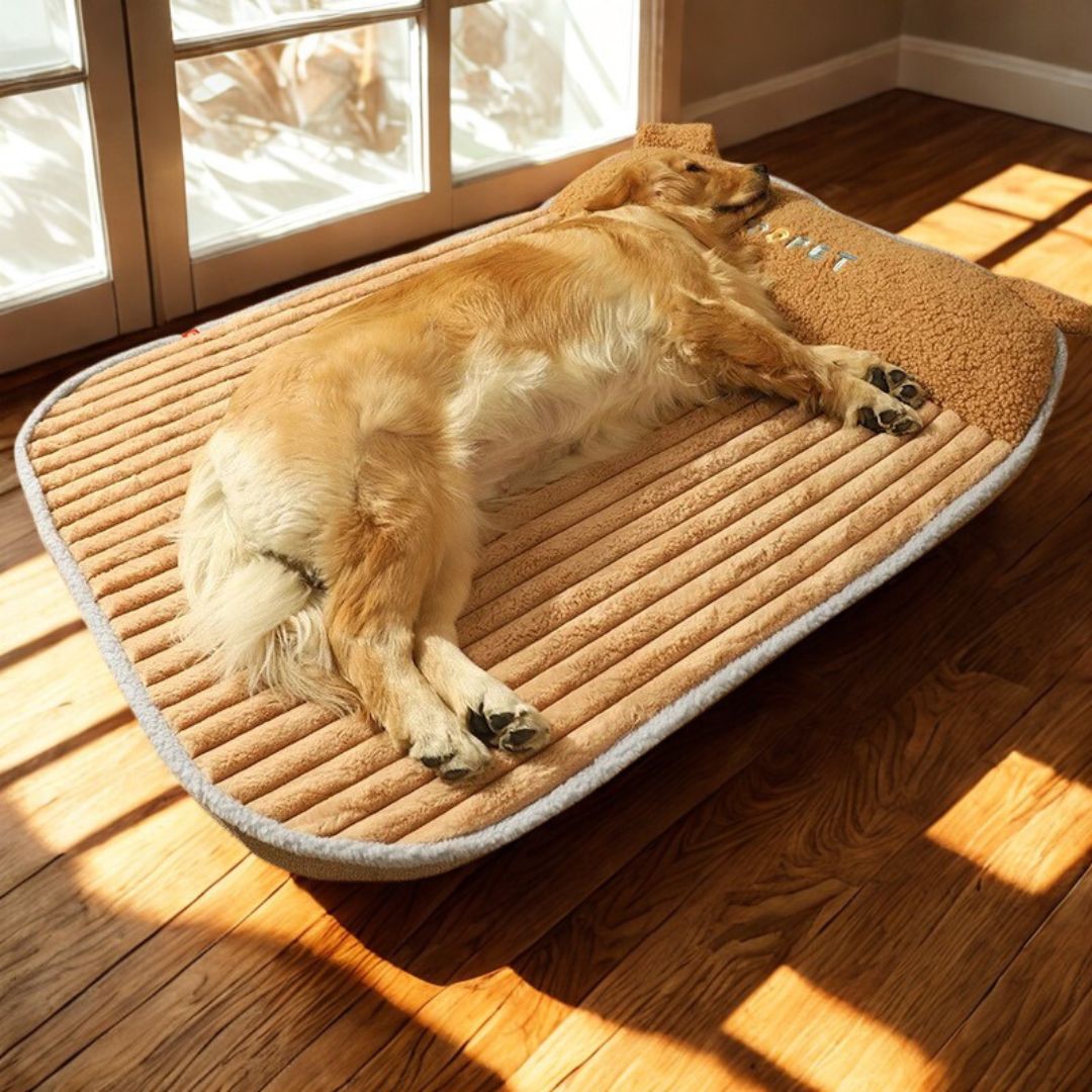 Coussin déhoussable pour chien - LitToutou™