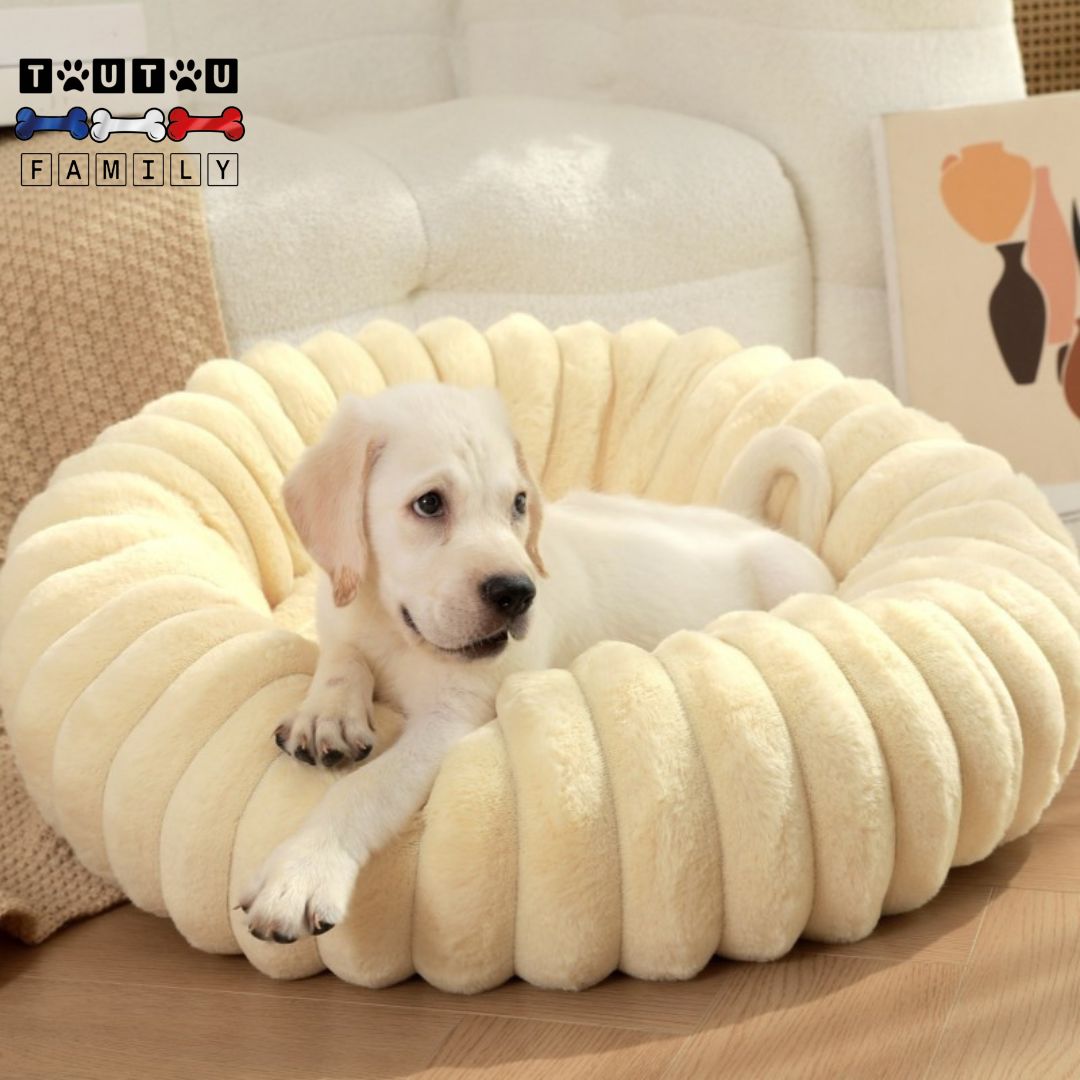 Coussin-déhoussable-pour-chien-rond-beige-un-petit-chien-couché-sur-le-ventre-dans-son-coussin-ultra-doux-avec-sa-patte-sur-le-rebord