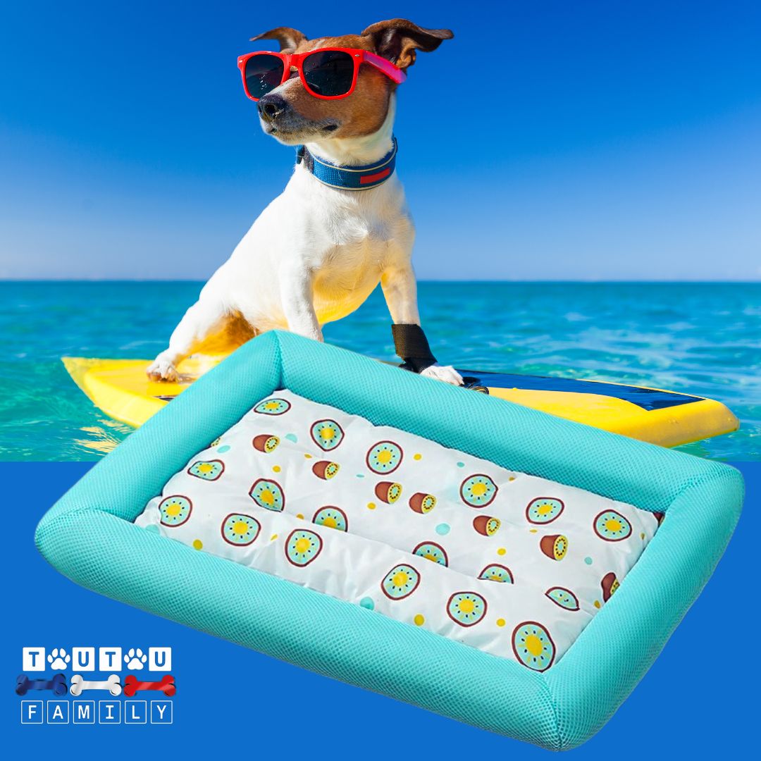 Coussin-rafraichissant-pour-chien-avec-rebord-bleu-et-motif-rigolo-pour-chien-tapis-rafraîchissant-pour-chiot-chien-de-petite-à-moyenne-talle-sans-danger-naturel-lavable-recyclable-écoresponsable
