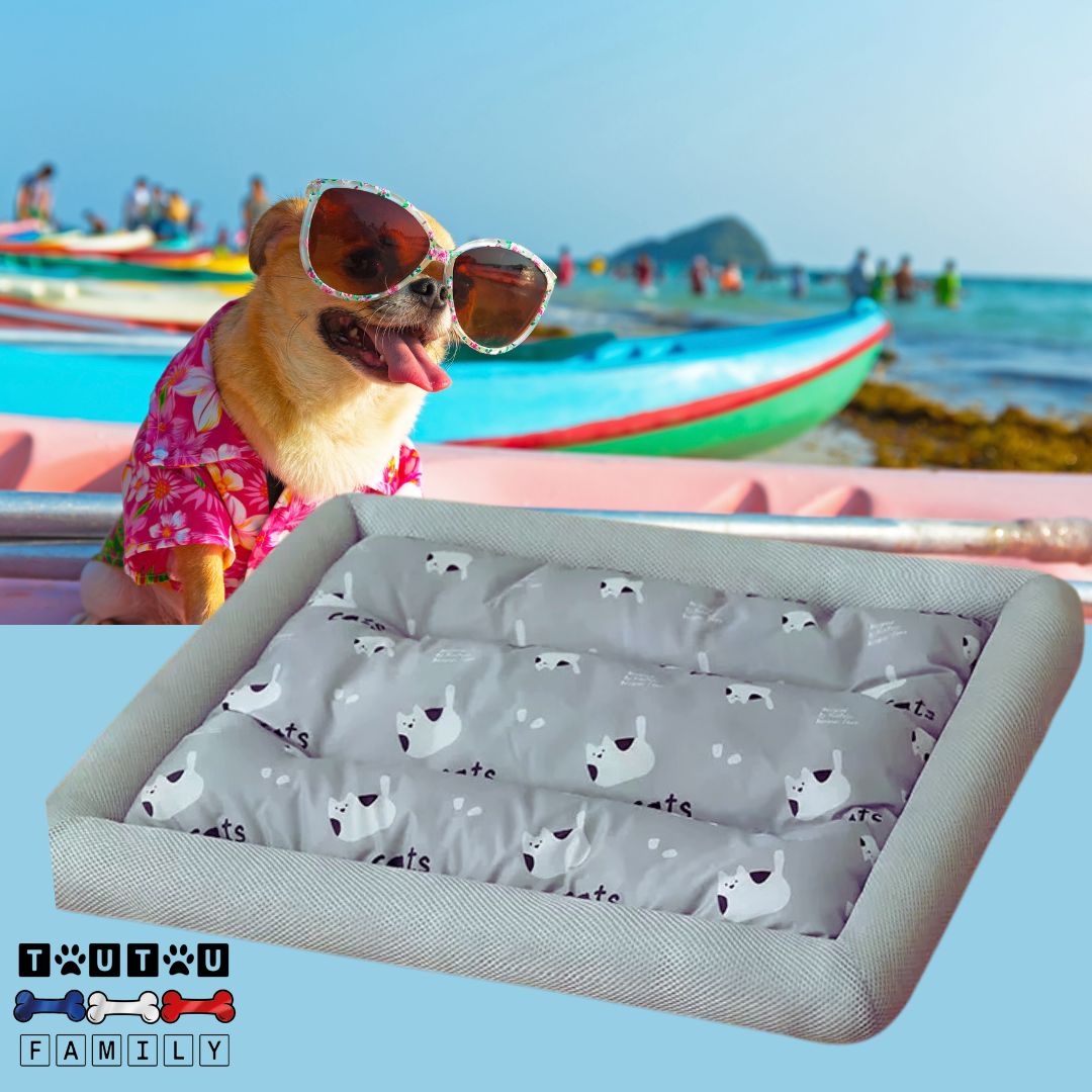 Coussin-rafraichissant-pour-chien-avec-rebord-gris-tapis-rafraichissant-chien-chiot-de-petite-à-moyenne-taille-jusqu'à-20kg