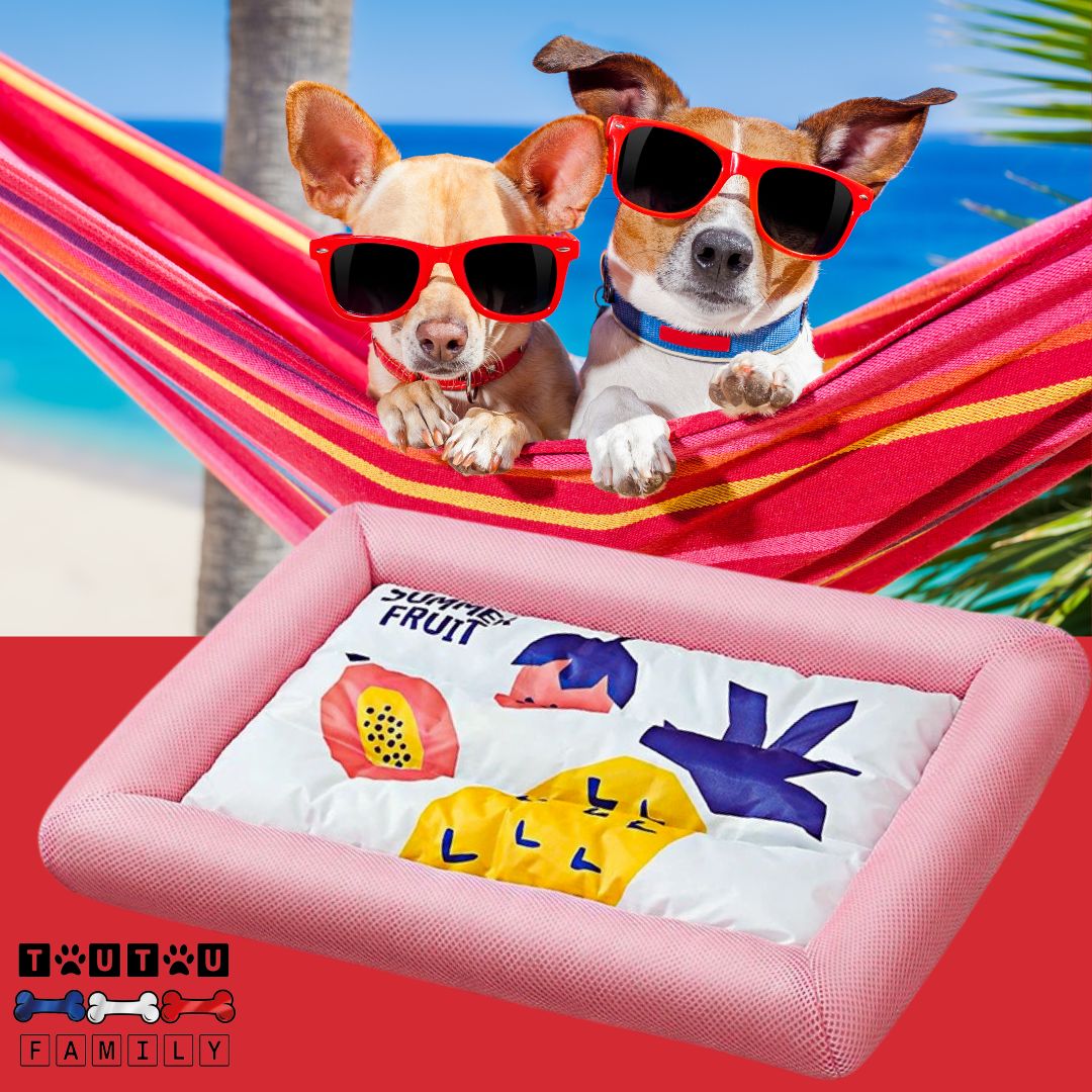 Coussin-rafraichissant-pour-chien-avec-rebord-rose-tapis-rafraichissant-chien-chiot-de-petite-à-moyenne-taille-jusqu'à-20kg-lavable-en-machine-antidérapant-climatisé