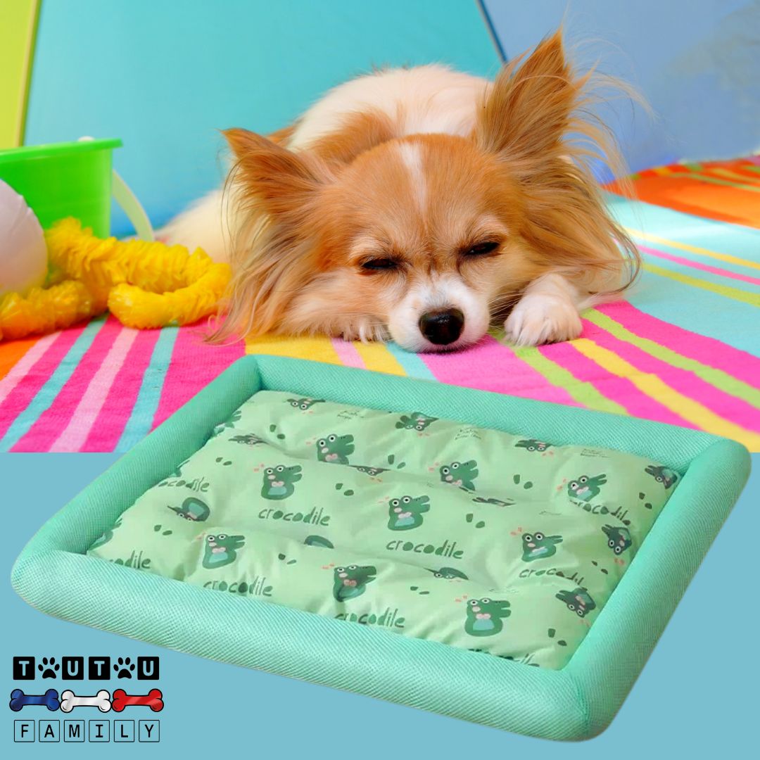 Coussin rafraichissant pour chien - RespireToutou™