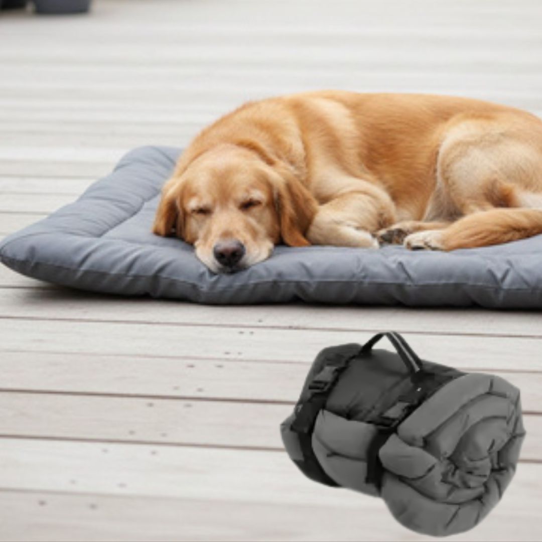 Couverture-imperméable-pour-chien-chiot-pliable avec sangle et clips de fermeture qui le transforme en sac avec poignée de transport intégré-résistant aux griffes et morsures-anti poils et saletés avec son tissu 300D Oxford et rembourrage 100% coton haute densité pour un confort optimal-utilisable partout pour protéger meubles, canapé, siÚge de voiture ou en coussin rectangulaire pour panier, cage, niche, etc.-de couleur gris