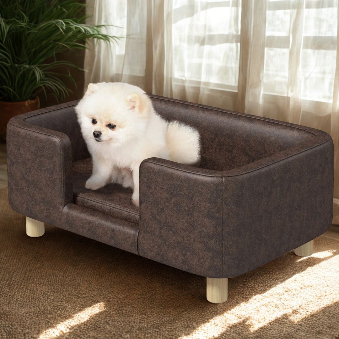 Fauteuil-pour-petit-chien-avec-pied-en bois massif-lit surélevé rectangulaire avec haut rebords anti-stress pour chiot et chien de petite taille-un Spitz nain assis confortablement sur le coussin du mini canapé pour chien design simil cuir marron imperméable et lavable dans le salon de l'appartement