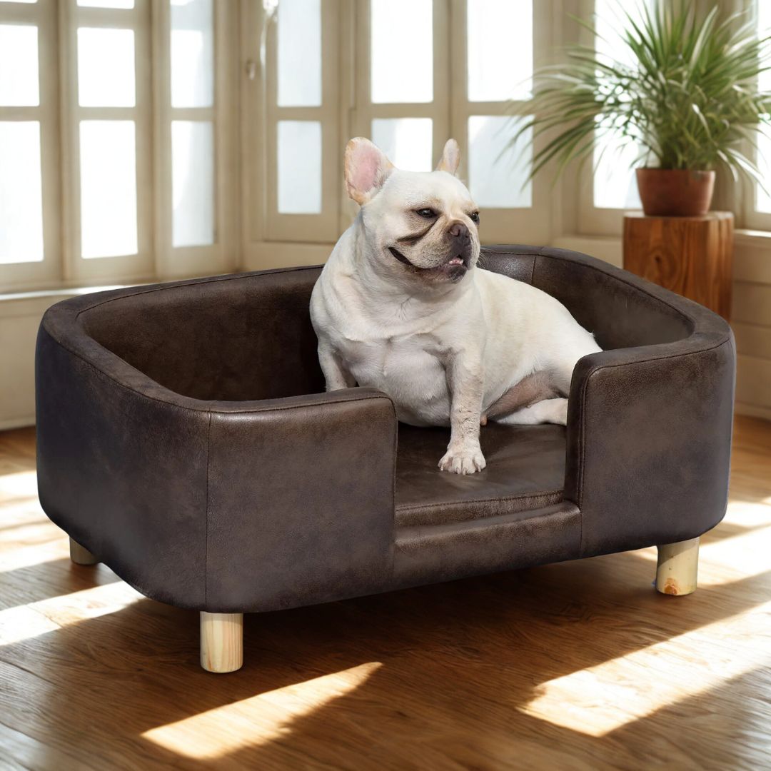 Fauteuil-pour-petit-chien-canapé recta,gulaire au ligne arrondie robuste et solide avec pieds en bois de bouleau massif e matelas intérieur amovible-100% imperméable et lavable à l'éponge de couleur chocolat-un bouledogue français couché confortablement dans son canapé en forme de panier surélevé dans le salon de l'appartement