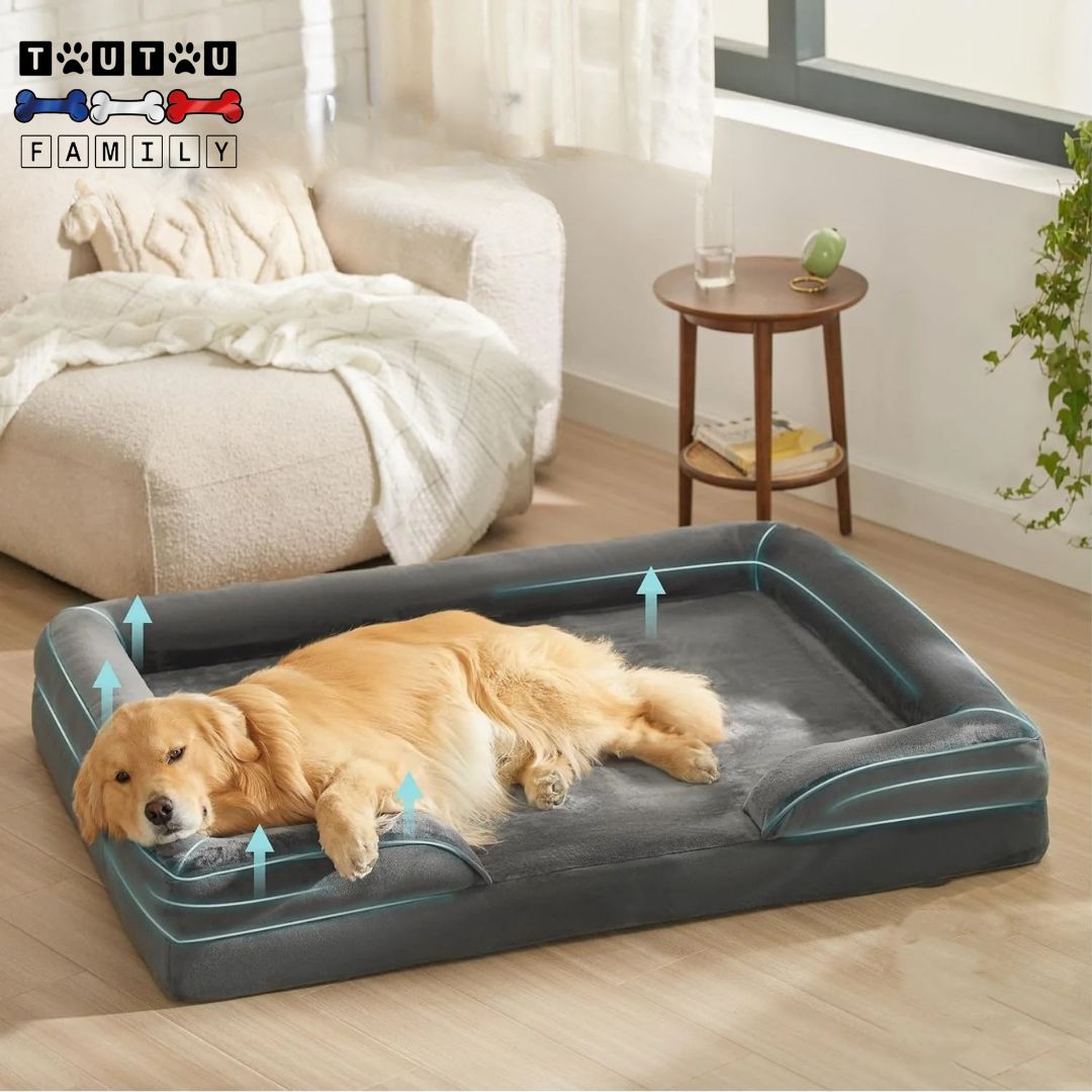 Grand-panier-pour-chien-coussin-un-golden-qui-dort-paisiblement-dans-son-panier-orthopédique-déhoussable-lavable-en-machine-imperméable-avec-rebord-100%-coton-coloris-gris-dasn-le-salon
