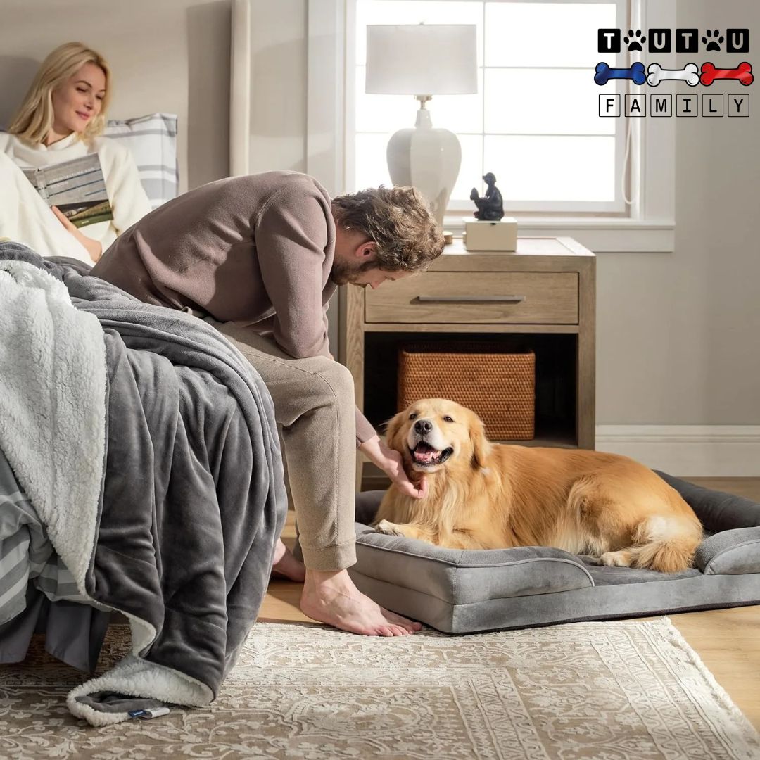 Grand-panier-pour-chien-lavable-un-golden-couché dans son panier orthopédique-à-coté-du-lit-de-ses-maitres-qui-se-fait-caresser tendrement dans la chambre