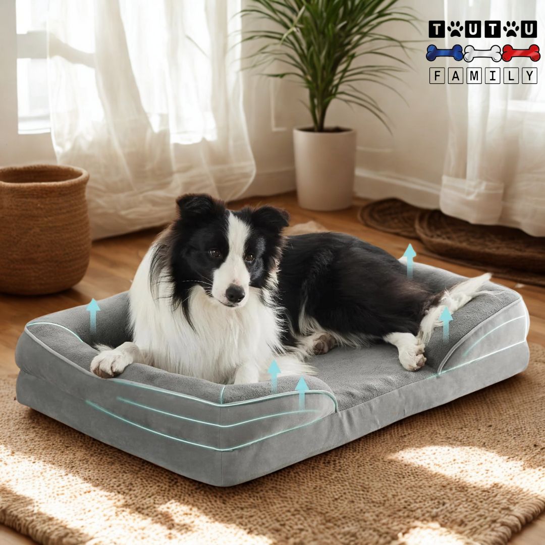 Grand-panier-pour-chien-lit-avec-traversin-100%coton-et-matelas-orthopédique-avec-mousse-à mémoire-de-forme pour chien-âgés souffrant-d arthrose-des-articulations-pour-un-soutien-ergonomique-de-sa-colonne-vertébrale-un-grand-chien-couché-confortablement-dans-son-panier-lavable-et-respirant