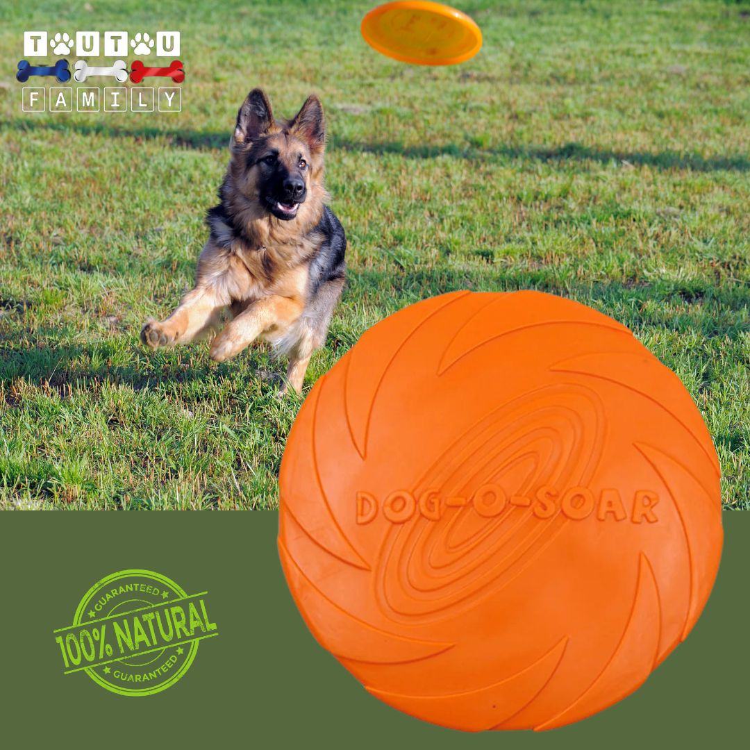 Jouet-interactif-pour-chien-frisbee-caoutchouc-orange-un-berger-allemand-qui-joue-et-court-dans-un-parc-derriĂšre-le-frisbee-orange-dans-les-airs