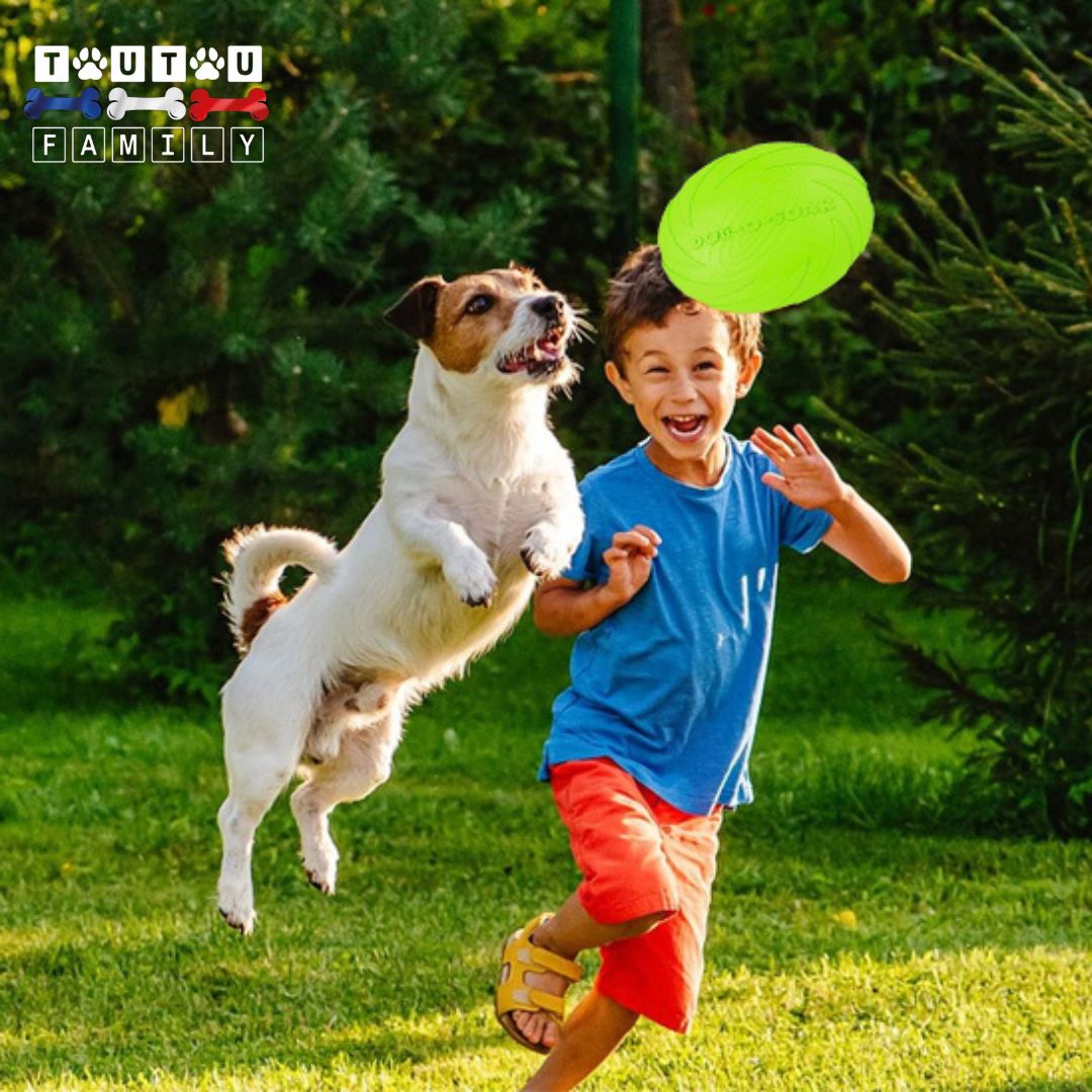 Jouet-interactif-pour-chien-frisbee-caoutchouc-qui-flotte-un-enfant-et-un-chien-qui-court-tout-heureux-derriĂšre-le-fribee-que-le-chien-attrape-au-vol-dans-le-parc