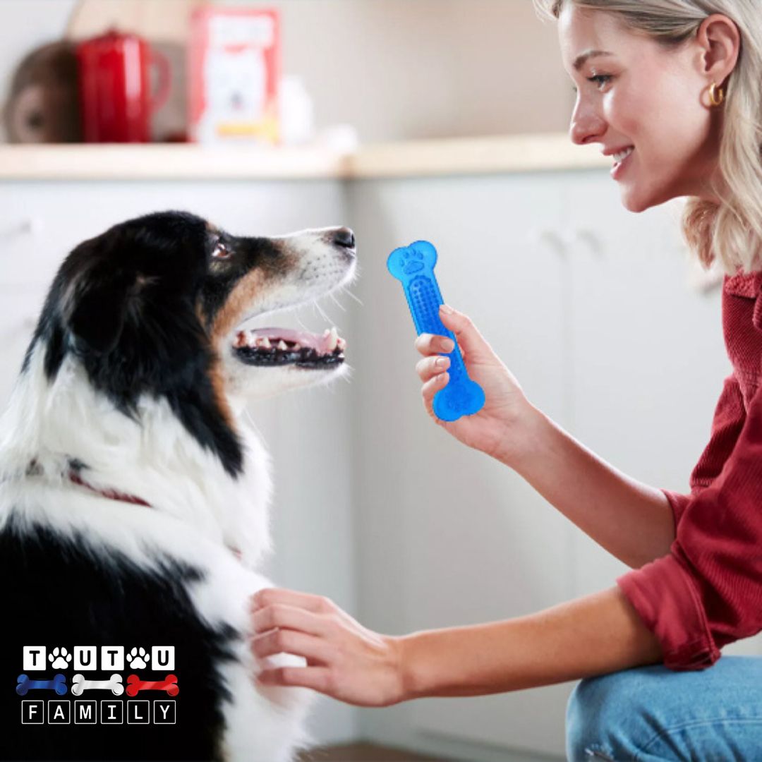 Jouets-pour-chiots-jouet-dentaire-jouet-indestructible-non-toxique-en-caoutchouc-résistant-jouet-indestructible-pour-chien-agressif