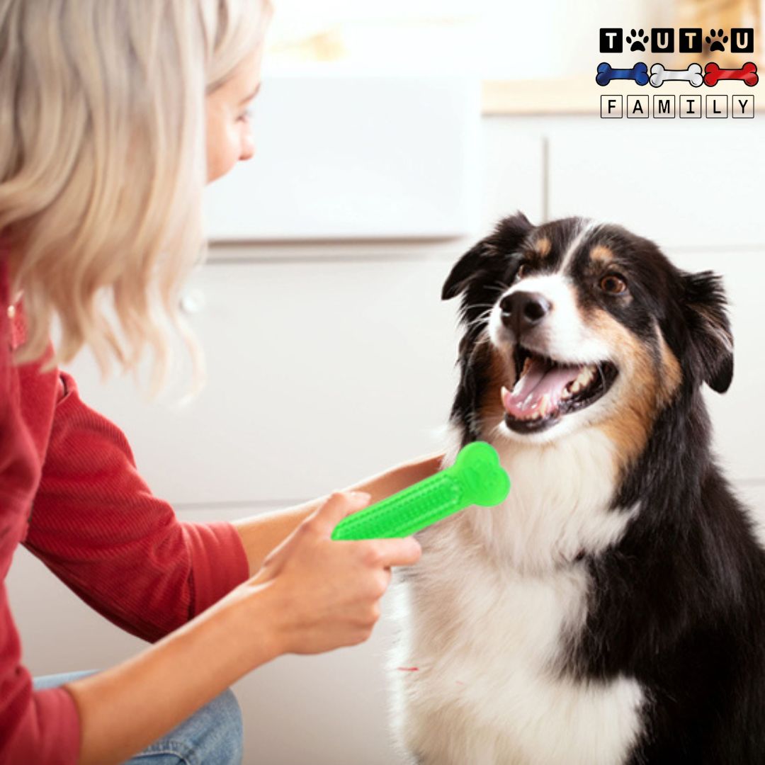 Jouets-pour-chiots-os-jouet-indestructible-jouet-solide-et-résistant-pour-mùcheurs-agressifs-jouet-d-occupation-pour-chiot-et-petit-chien