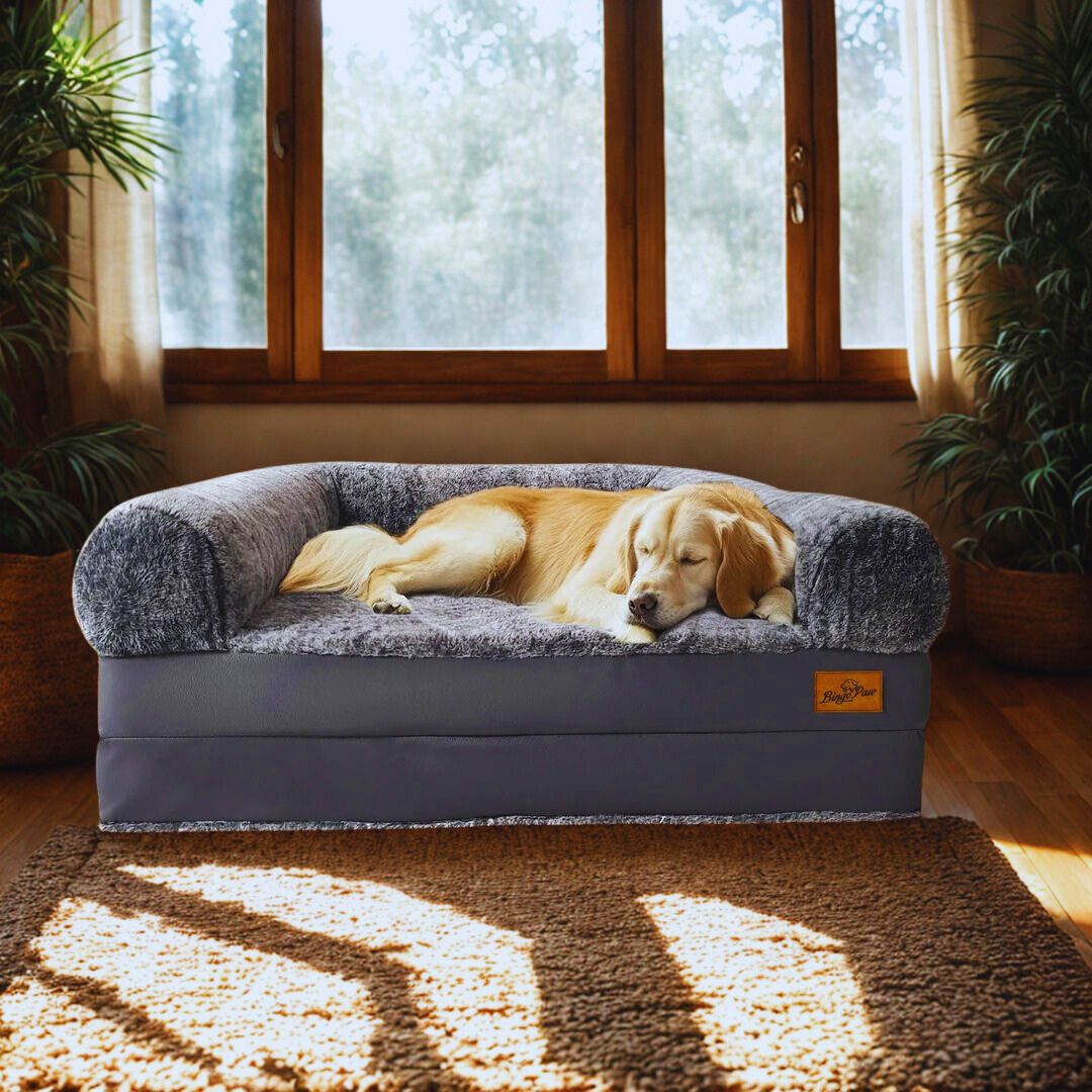 Lit-canapé-pour-chien-imperméable déhoussable et lavable en machine-un chien de grande taille qui dort sur le matelas orthopédique à mémoire de forme du canapé convertible dans le salon de sa maison