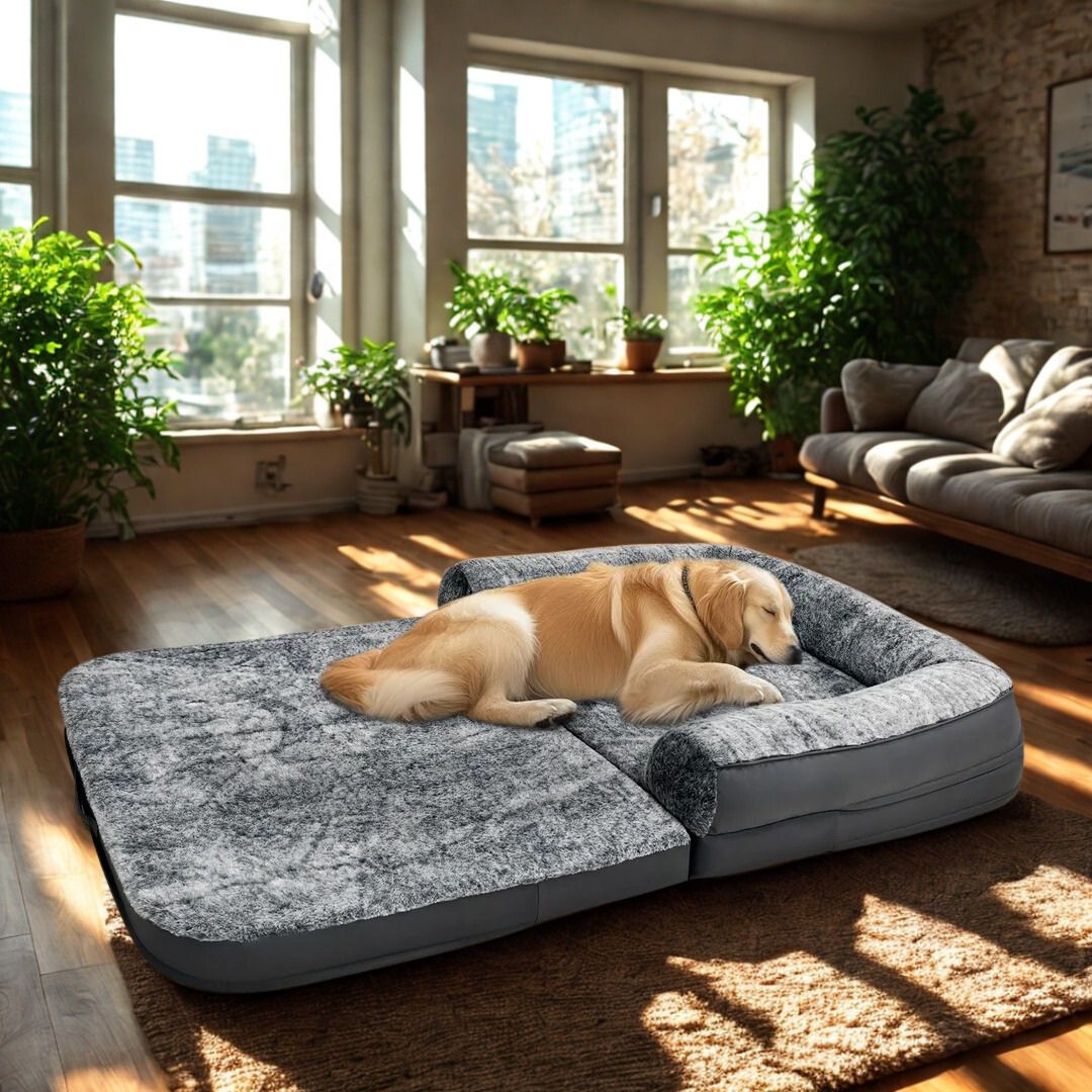 Lit-canapé-pour-chien-xxl-un grand chien qui dort dans le grand lit style chauffeuse avec son matelas à mémoire de forme et housse en peluche douce hypoallergénique et cuir PU résistant aux griffes-technologie anti-affaissement