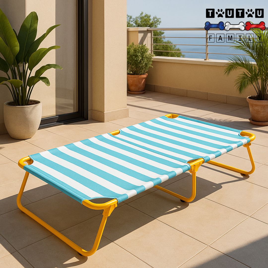 Lit-de-camp-chien-surélevé-pliable-xxl-imperméable lavable-pliable et compact-solide -hygiénique ergonomique en toile oxford haute qualité et design rayure-lit 4 saisons