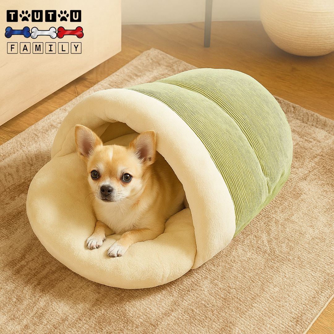 Lit-petit-chien-coton et velours-un chihuahua couché dans son lit anti-stress en forme de chaussette lavable en machine et antidérapant dans le salon