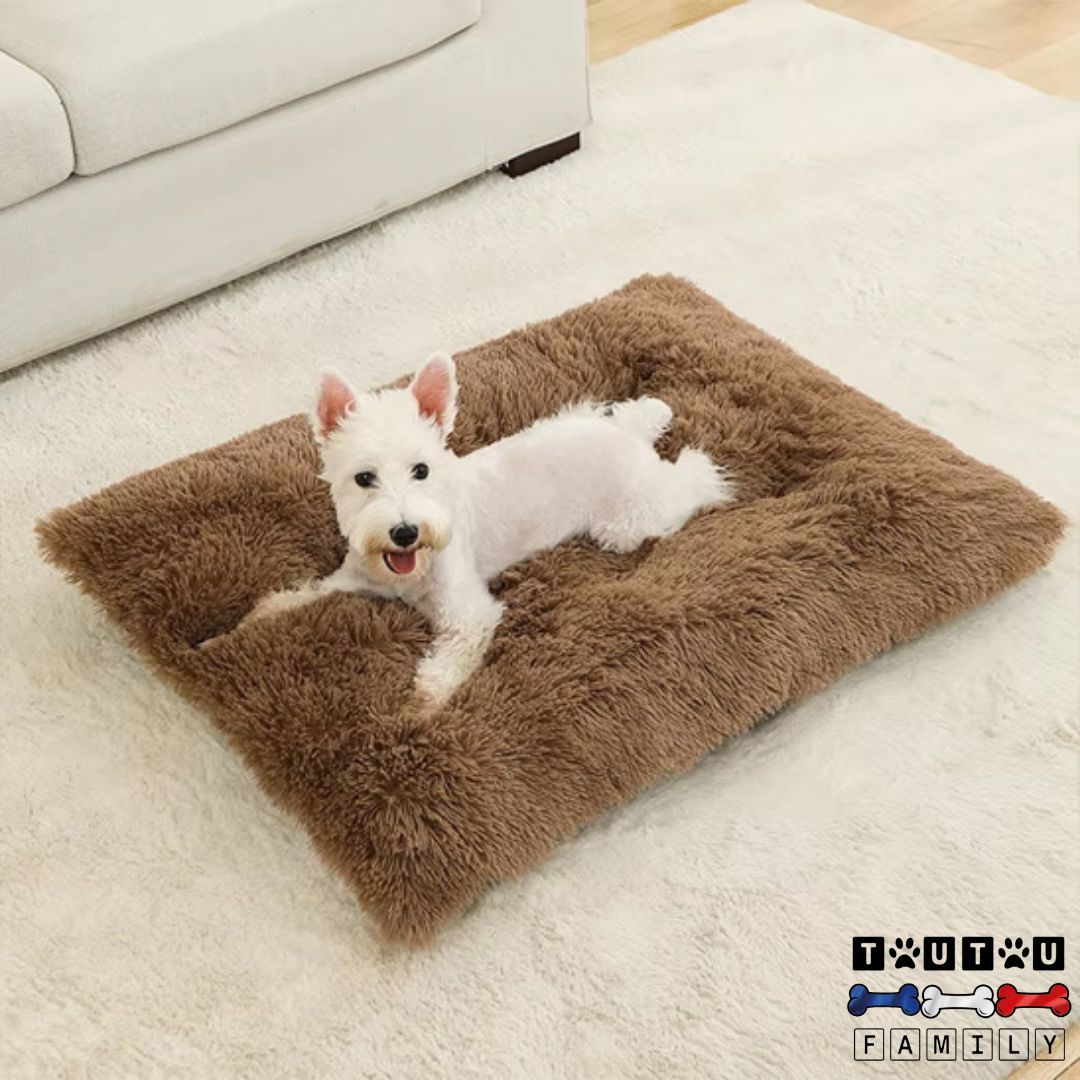 Lit-pour-chien-100-coton-antidérapant-un-chien-de-petite-taille-allongé-sur-le-ventre-au-chaud-dans-son-lit-douillet-rembourré-en-coton-dans-son-salon