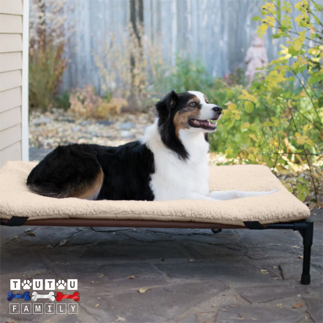 Lit-pour-chien-surélevé-pour-chien-de-petite-a-moyenne-taille-pour-le-camping-la-pêche-le-camping-car-transportable-pliable-léger-pour-des-utilisation-en-plein-air-ou-à-la-maison-polyvalent-résistant-imperméable