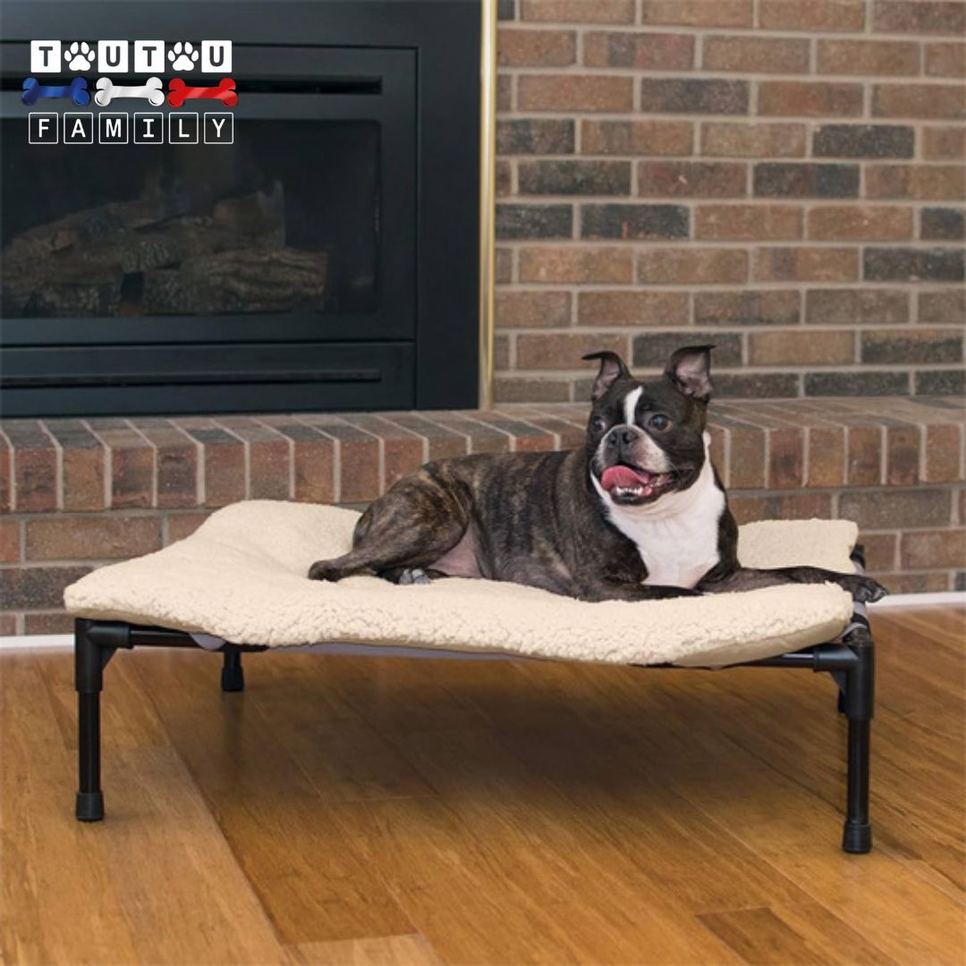 Lit-pour-chien-surélevé-toute-saisons-3-dimensions-disponible-pour-les-petits-à-moyen-chien-jusqu-à-15-kg-un-en-tissu-oxford-imperméable-et-l-autre-en-nylon-maille-respirante-avec-la-structure-en-acier