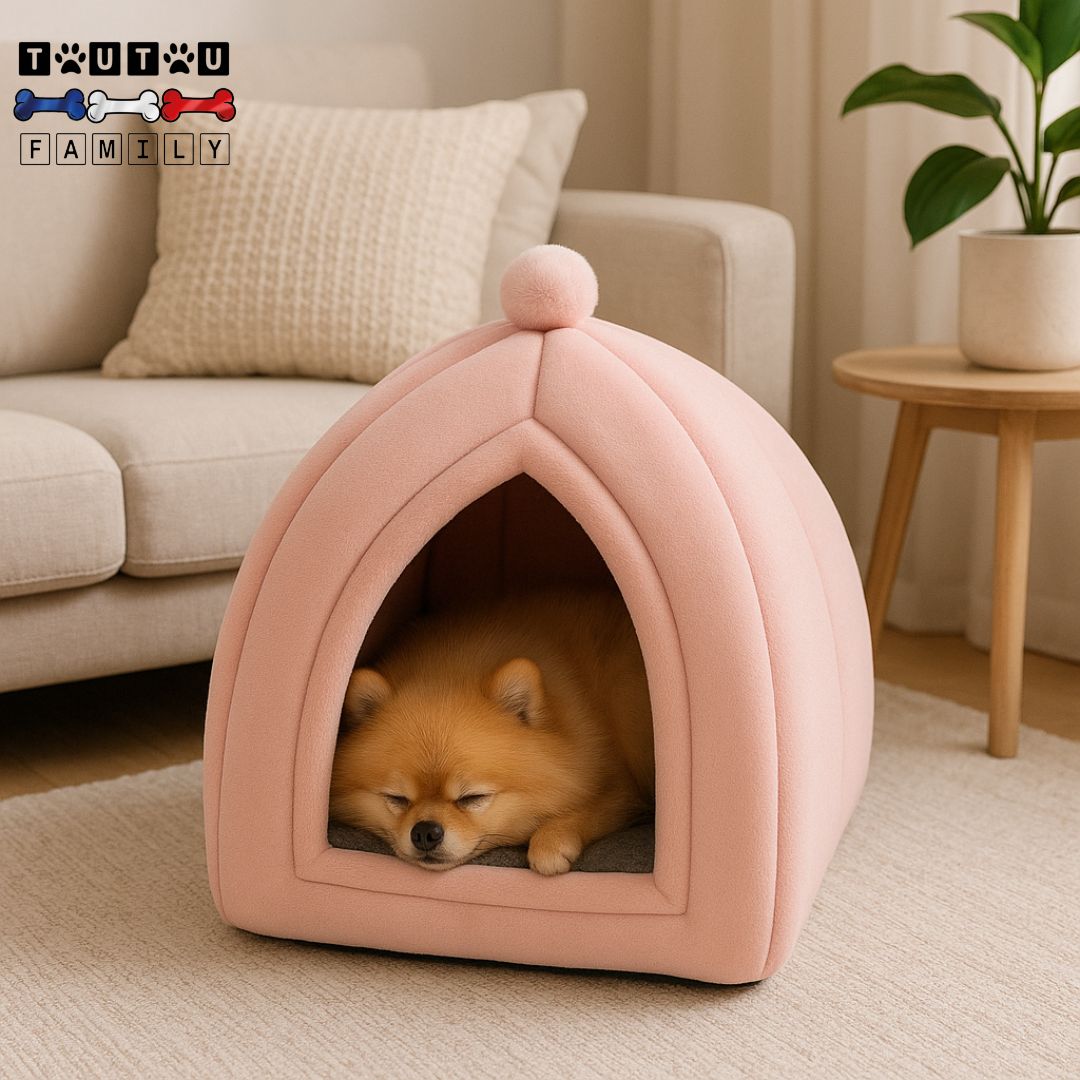 Niche-d-intérieur-pour-chien-chiot-yourte-un Loulou de poméranie-qui-dort sereinement dans sa niche rose et son coussin moelleux 100% coton ergonomique épais lavable en machine -antidérapante et imperméable pour chien de race naine