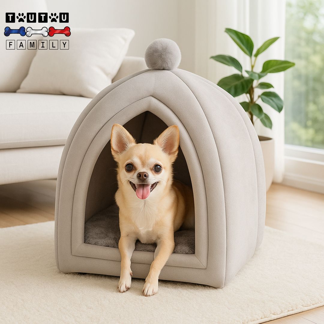 Niche-d-intérieur-pour-chien-nain-un chihuahua dans sa niche lavable et résistante de couleur grise au design yourte pour petit chien jusqu'à 3 kg