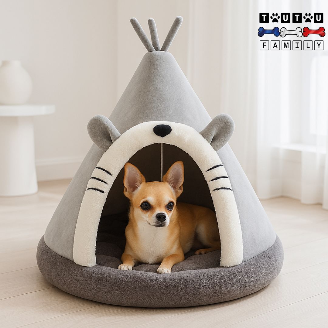 Niche-d-intérieur-pour-petit-chien-un chihuahua couché de tout son long dans la niche douillette et confortable-qui-regarde son environnement en étant apaisé par la porte de sa niche grise