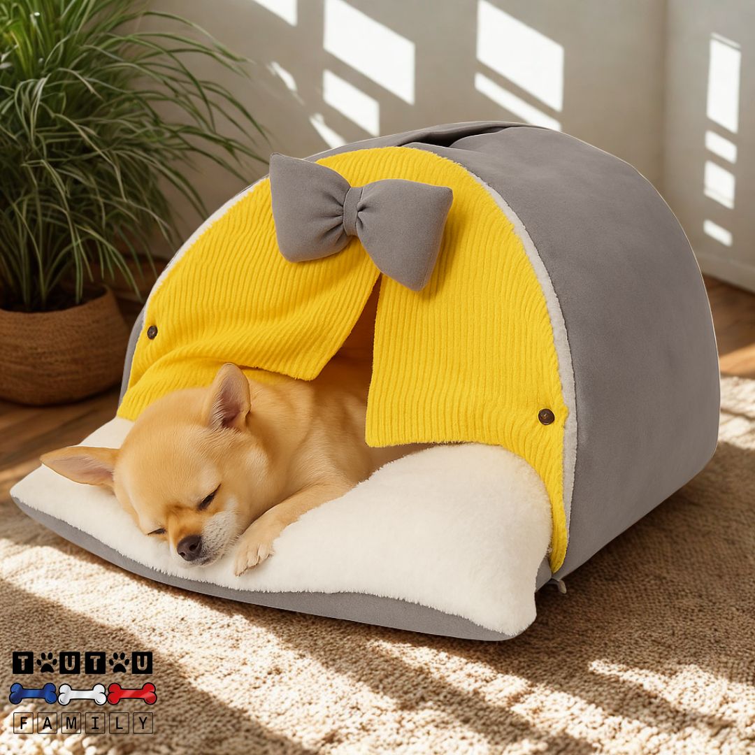 Niche-d-intérieur-pour-petit-chien-chiot-lavable-un chihuahua qui dort paisiblement dans sa niche en forme de dôme avec rideaux dans le salon
