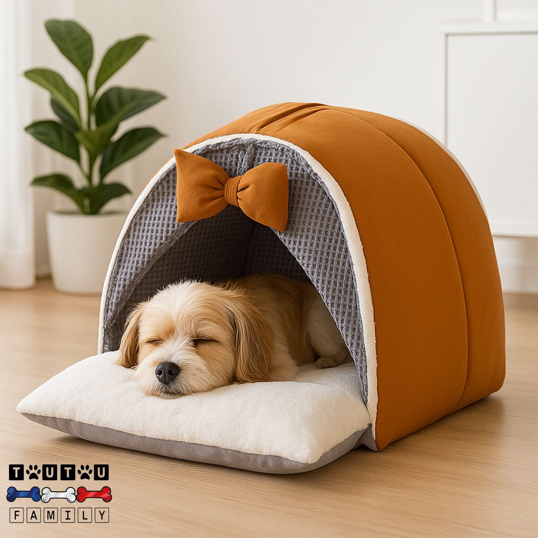 Niche-d-intérieur-pour-petit-chien-lavable-imperméable-un chiot qui dort paisiblement la tête posée sur le coussin rembourré 100% coton haute densité dans sa niche avec rideaux en forme de grotte de couleur marron lavable en machine dans son salon