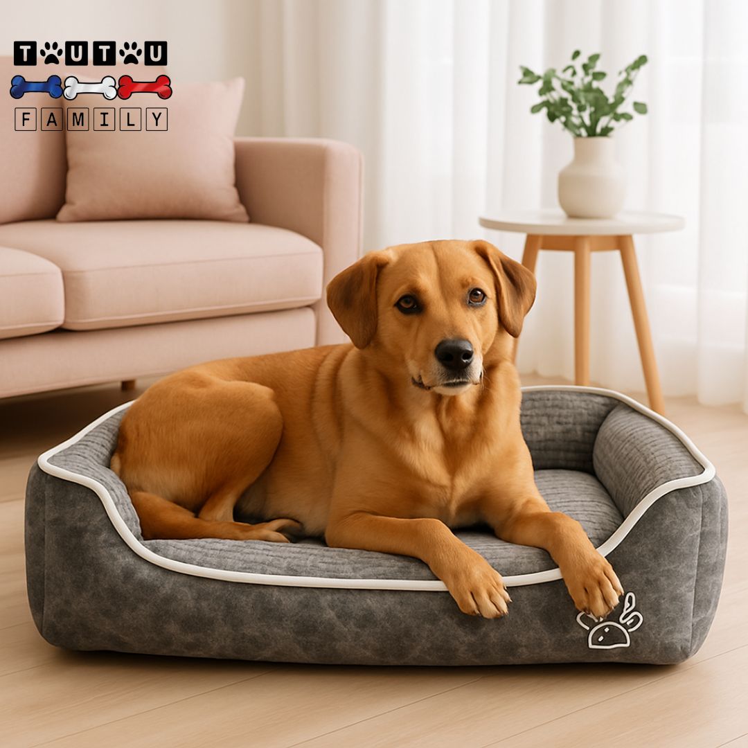 Panier-chien-dehoussable-résistant lavable en machine, un grand chien couché dans son panier gris, douillet, chaud et respirant avec coussin 100% coton, housse 100% imperméable dans le salon devant le canapé de ses maitres