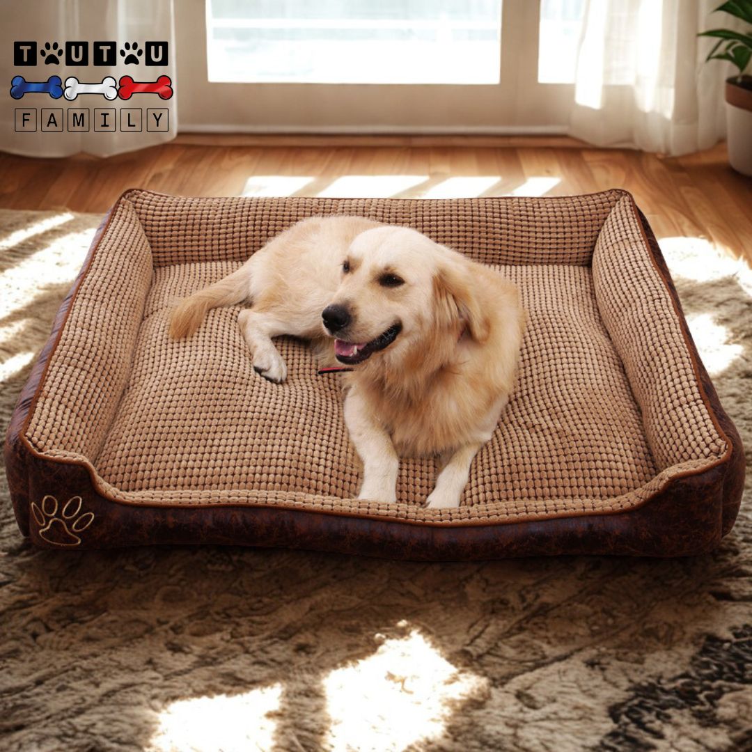 Panier-chien-dehoussable-xxl-un grnad-chien -couché dans son-grand-panier-marron sur le sol du salon devant la baie vitrée- panier rectangulaire pour chien de petite à grandes tailles lavables en machine-coussin-100% coton-housse-100% imperméable