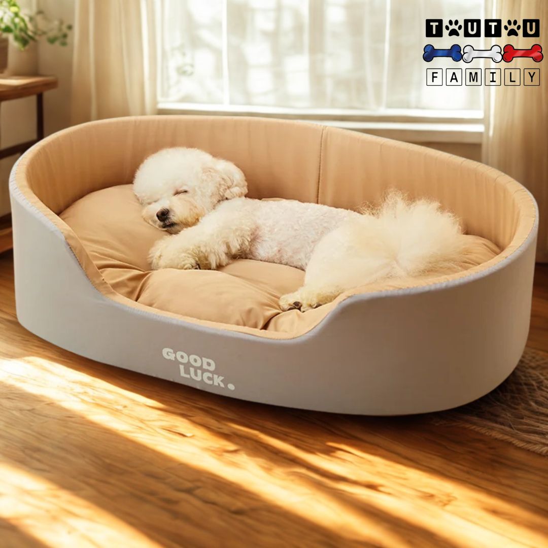Panier-chien-lavable-en-machine-un-caniche-blanc-qui-dort-couché-sur-le-flanc-la-tête-nichée dans le coussin 100% coton du panier beige et gris dans son salon