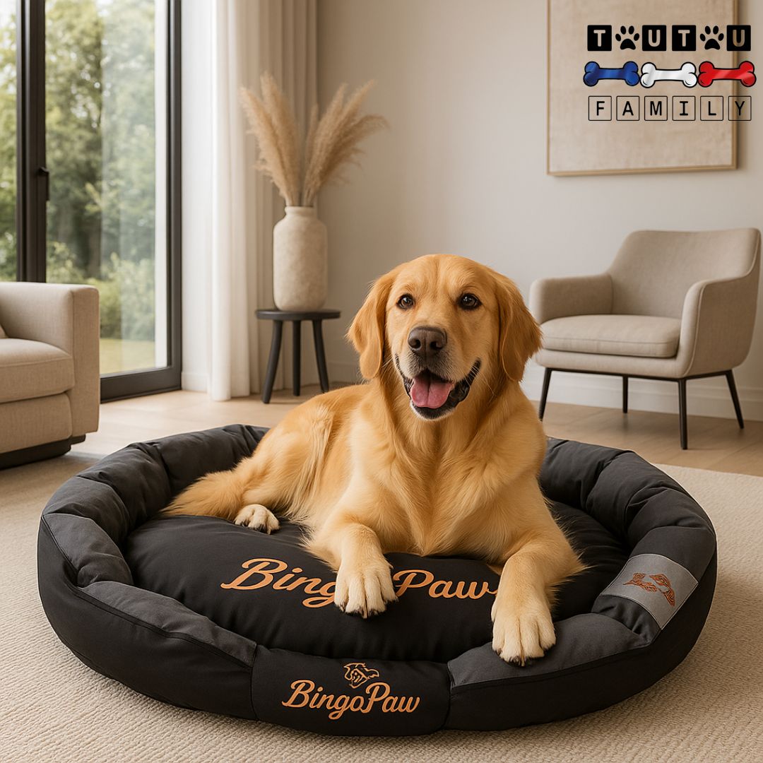 Panier-chien-xxl-grand-chien-un golden-couché-sur-son-panier-moelleux-rembourrage 100% coton-déhoussable-lavable-solide-indestructible-antudérapant