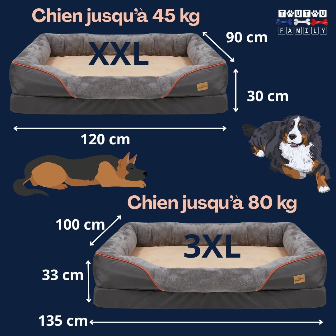 Panier-grand-chien-guide-des-tailles-panier-2-tailles-disponible-xxl-3xl-dimensions-pour-grand-et-chien-géants-jusqu'à 80 kg