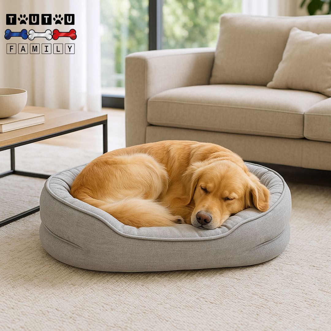 Panier-orthopedique-chien-ergonomique-un-golden couché en boule avec sa tête reposant sur le coussin intégré à 360° 100% coton pour un soutien ergonomique qui soulage les articulations — déhoussable-lavable-100%-imperméable-résistant-aux-griffes-et-morsure-pour-chien de-petite à grande taille jusqu'à 35kg