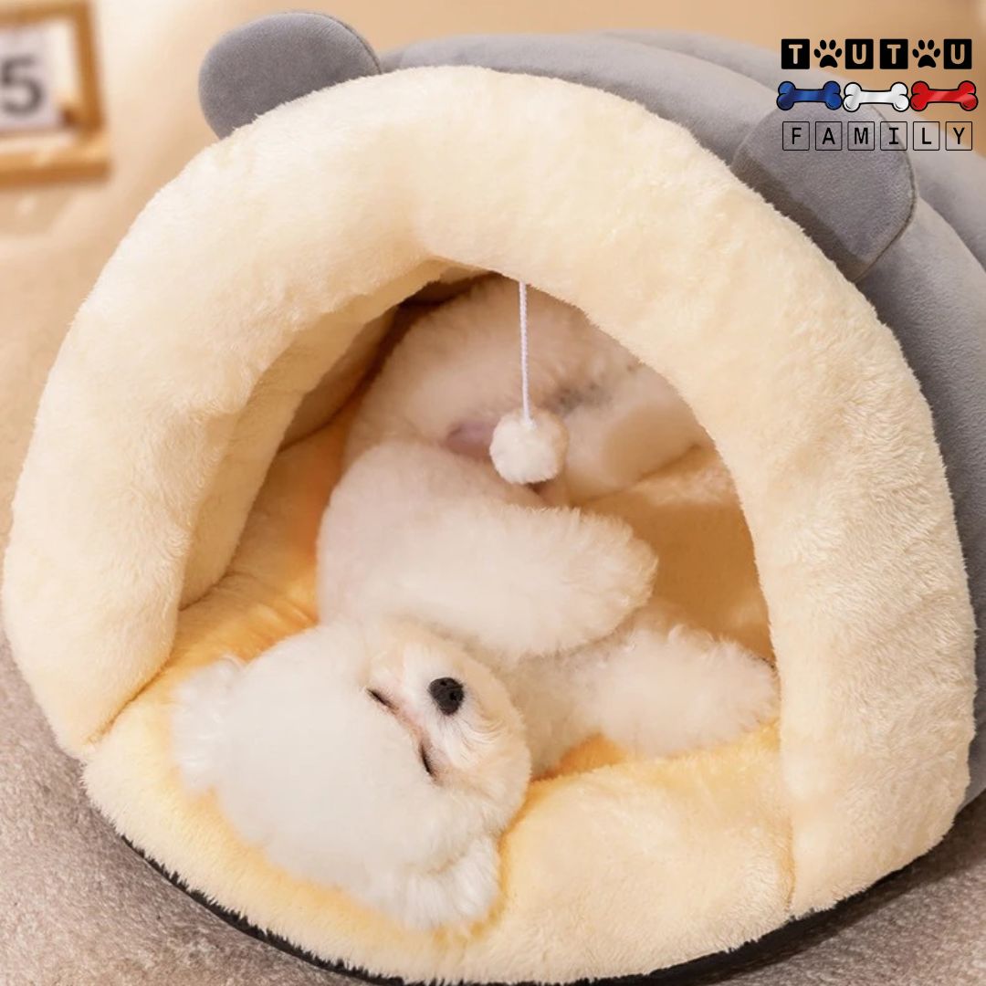 Panier-petit-chien-imperméable-lavable-chaud-en-peluche-douce-100%-coton-écoresponsable-écologique-hypoallergénique-idéal-pour-les-chiot-et-petit-chien-un-coton-de-tuléar-couché-confortablement-dans-son-panier-design-chausson-avec-sa-balle-interactive-incluse