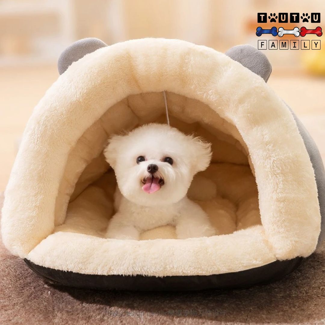 Panier-petit-chien-niche-chaud-confortable-et-lavable-en-machine-un-chiot-coton-de-tuléar-couché-sur-le-ventre-dans-son-panier-entourant-chauffant-en-forme-de-grotte