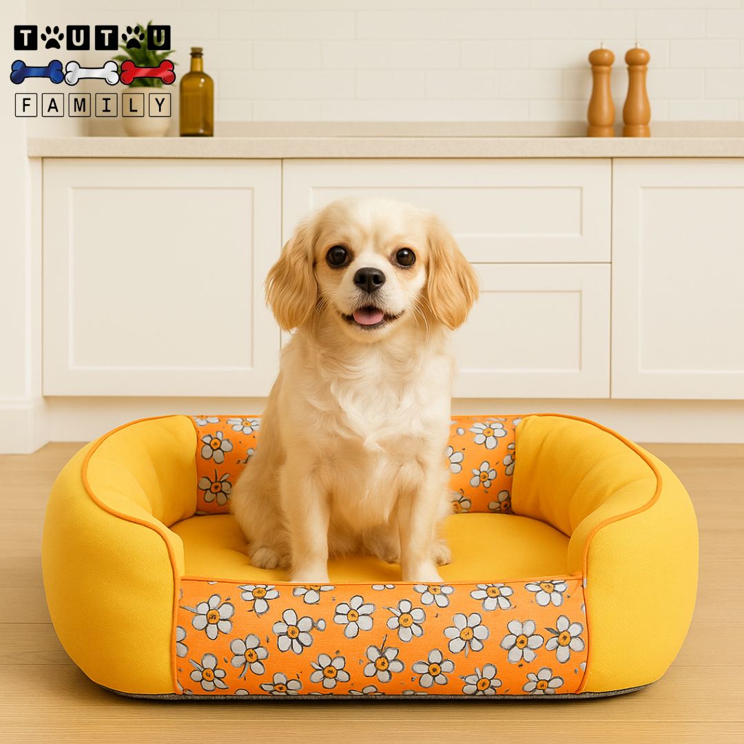 Panier-pour-chien-solide-épais-un-cavalier-king-charles-assis-dans-son-panier-orange-avec-motif-floral-100%-imperméable-lavable-résistant-au-griffes-rembourrage-100%-coton-haute-résilience-pour-un-soutien-ergonomique