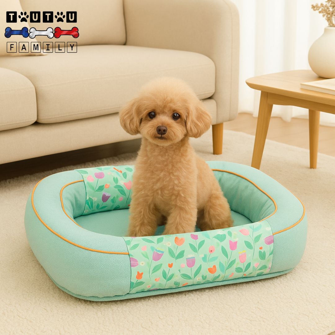 Panier-pour-chien-solide-oreiller-un-caniche-assis-dans-son-panier-de-couleur-bleu-avec-motif-floral-discrets-avec-rebord-surélevé-épais-rembourrage-100%-coton-et-imperméable